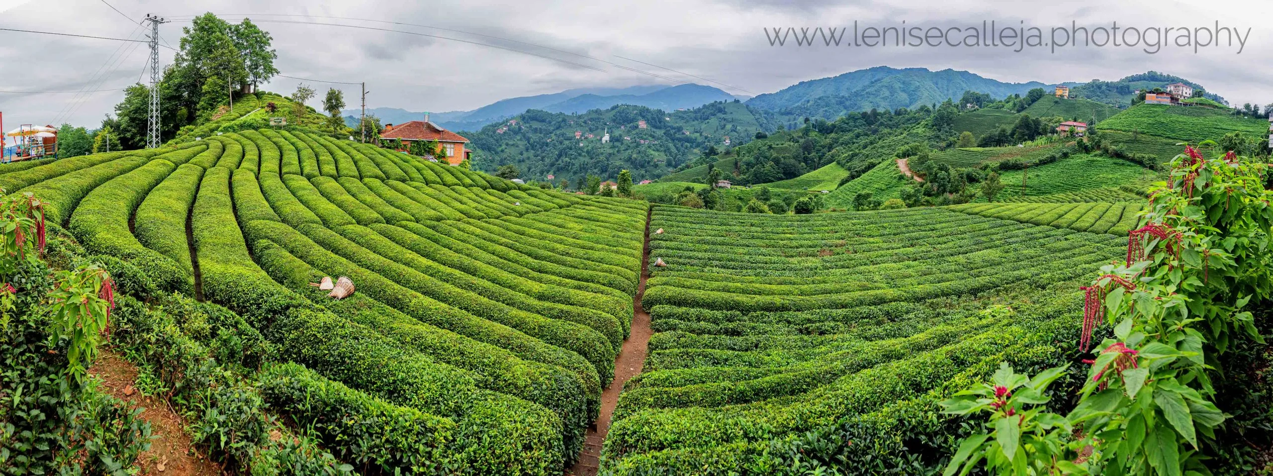 Top reasons to visit Turkey’s Black Sea Region