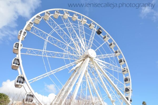 lenisecalleja.photography.za03