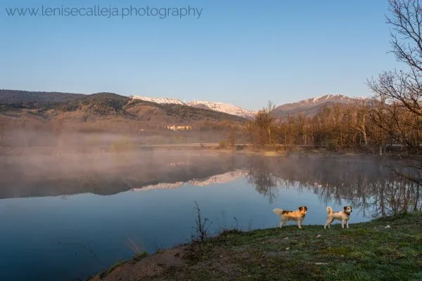 lenisecalleja.photography.gr15