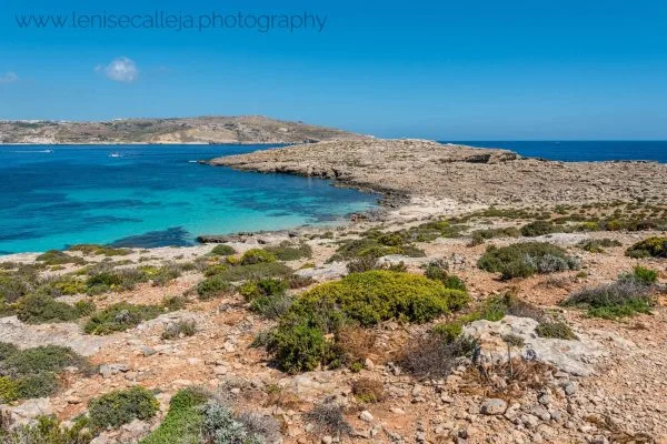 lenisecalleja.photography.mt46