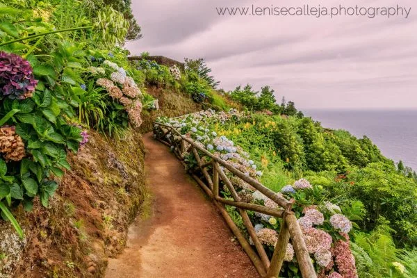 lenisecalleja.photography.pt56