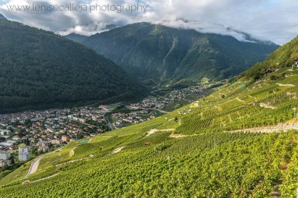 lenisecalleja.photography.ch23