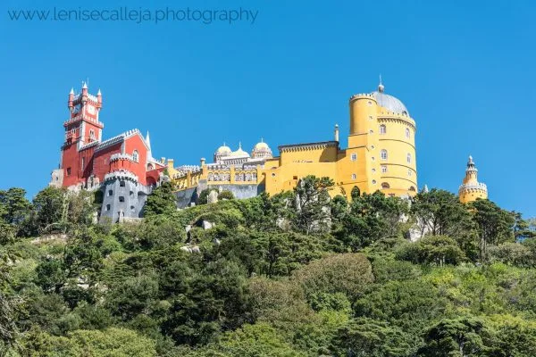 lenisecalleja.photography.pt133