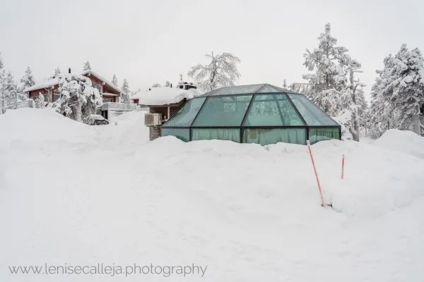 lenisecalleja.photography.fi50