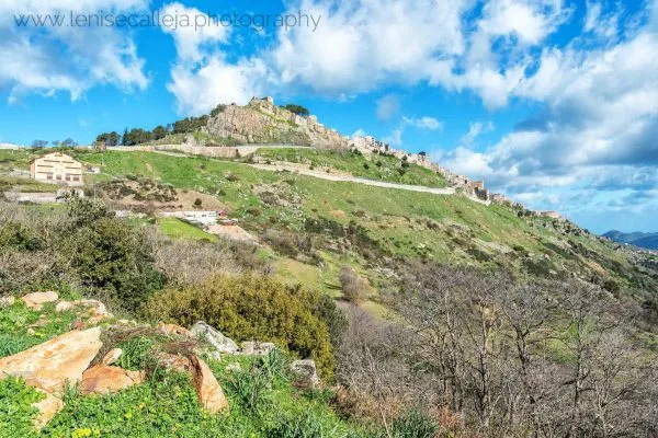 lenisecalleja.photography.it164