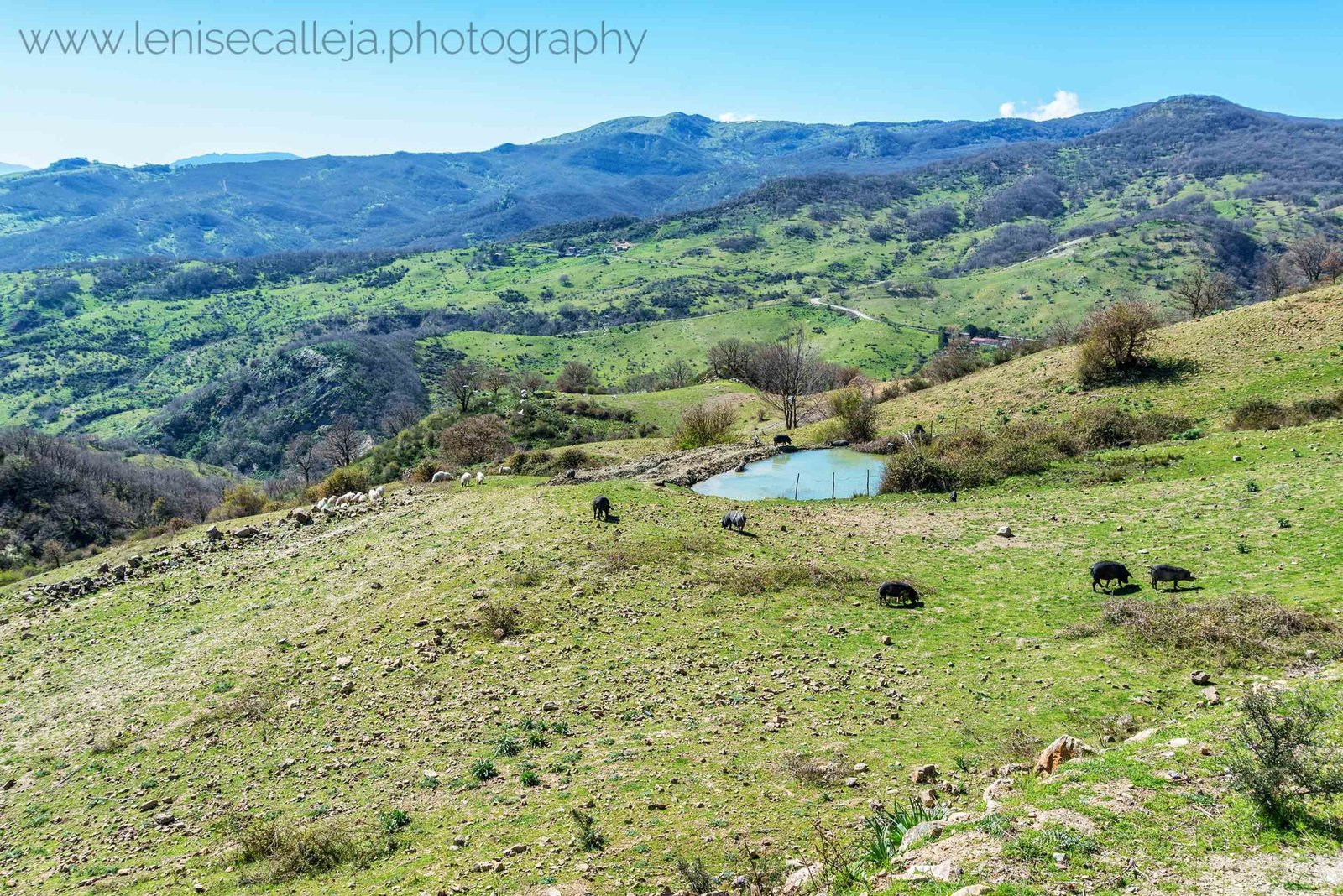 Sicily Parks for Nature Lovers by Lenise Caleja Photography