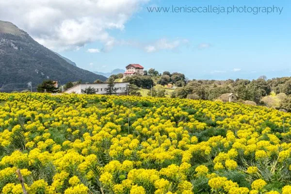 lenisecalleja.photography.it191 lenisecalleja.photography.it191