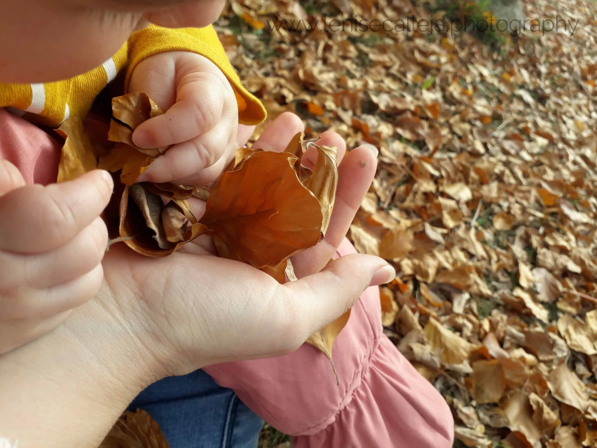 tips to travel with a baby