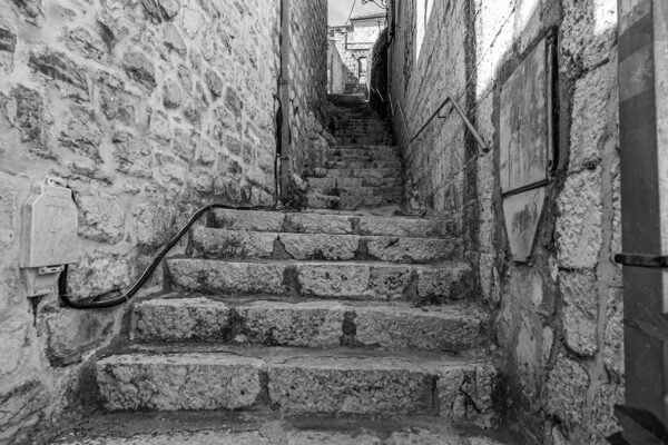 WWW.LENISECALLEJA.PHOTOGRAPHY